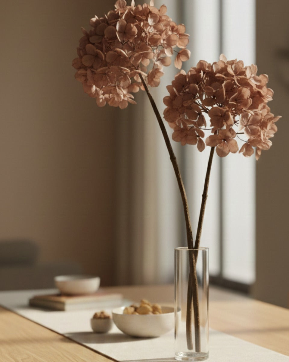 Premium Dried Hydrangea Stem Set 1